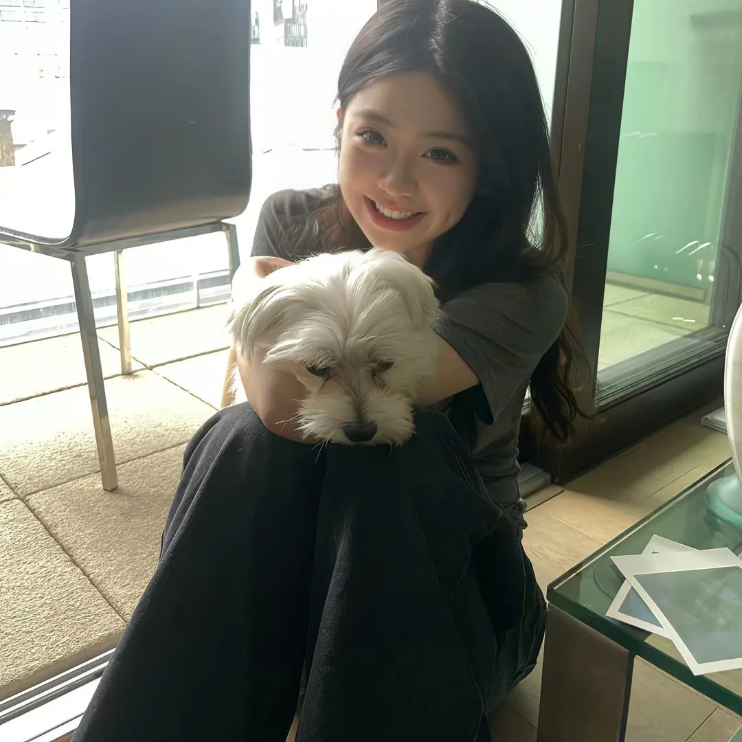甜美爱丽丝