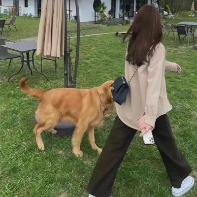 御苑琼霄